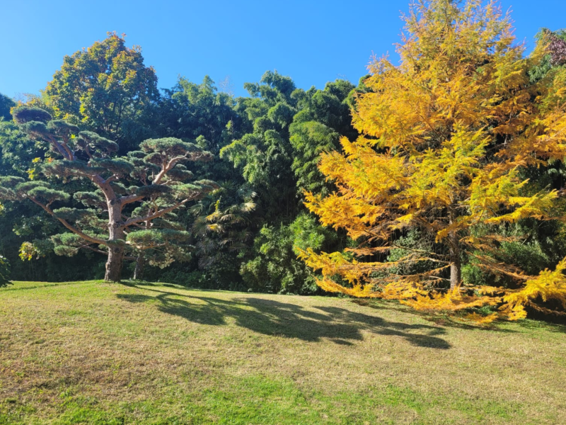 parc de la bambouseraie en cévennes