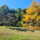 parc de la bambouseraie en cévennes